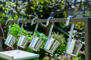 Apartment Macan, beautiful green oasis