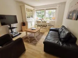 Strandkrabbe - 朗格内斯岛