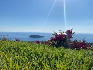 Luxury Villa Cirella happy island
