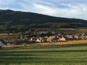 Les papillons - Thanvillé