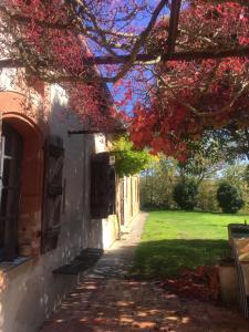 Maisons d'hotes L'Apouticayre : photos des chambres