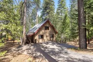 Tranquility in the Woods - Arnold