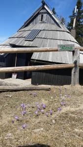 Chalet Resa - Velika planina 