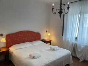 Hotel Verdi Pisa