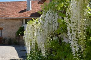 Maisons d'hotes La ferme aux glycines : photos des chambres