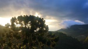 Chalé da Horseland BJ