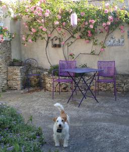 Appartements Pause couleur Lavandula : photos des chambres