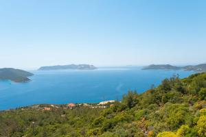 Golden Rose Suit pension