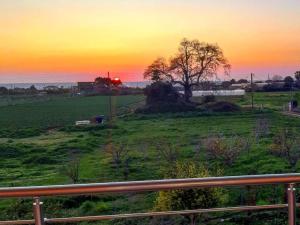 Kassianis House Mytikas