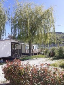 Campings Camping les Lavandes, Castellane : photos des chambres