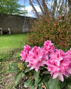 B&B / Chambres d'hotes Le Chateau de Failloux : photos des chambres