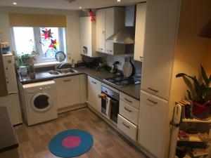 Colourful 3-bed home by the River, Totnes