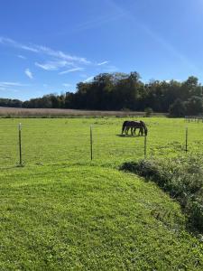 Wine Country Oasis Charming Farmhouse 10 Acres