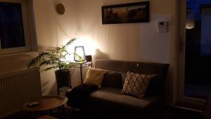 Maisons de vacances Gite See You Soon - Maisonnette Green Lodge : photos des chambres