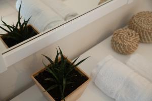 Maresia Apts & Studios