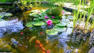 Maisons de vacances Gite pause au jardin : photos des chambres