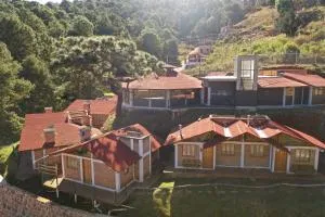 Los Pirineos - 马萨米特拉