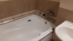 Studio Timpuri Noi 50