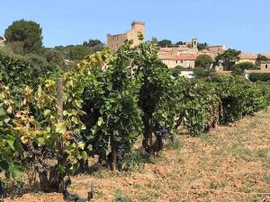 Villas Le clos de la cerise - Villa Gilbert : photos des chambres