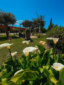 Tra Terra e Mare img8