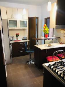 Balcescu Alinas apartament