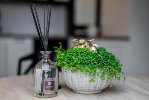 Apartamentai Puodžių 27