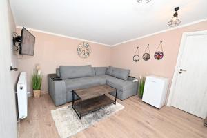 RAI Lodges Bran - Predelut