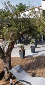 Villas Mas avec piscine et jacuzzi sur Argeles sur Mer : photos des chambres