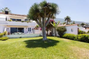 Home2Book Amazing La Palmita Suite