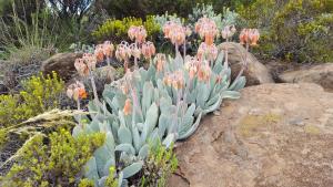 Tenahead Lodge & Spa