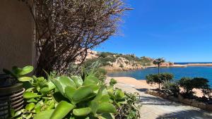 Grecalotto Apartment img29