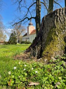 Penzion Zámek Lešany