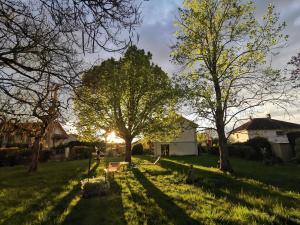 Maisons de vacances La Belleza - Maison de vacances avec jardin arbore : photos des chambres