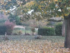 Maisons de vacances La Belleza - Maison de vacances avec jardin arbore : photos des chambres