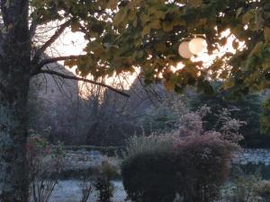 Maisons de vacances La Belleza - Maison de vacances avec jardin arbore : photos des chambres