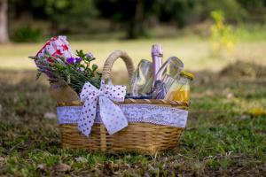 Hotel Resort e Golfe Clube dos 500