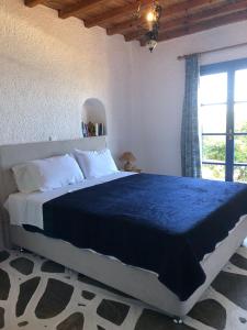 Villas Kalafatis Apartments