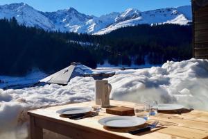 Appartements La Cabane du Cerf a Payolle : Appartement 1 Chambre