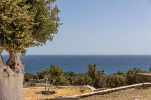 Ligaridia Apartments