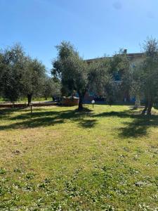 CASA DEGLI ZII appartamento Letizia