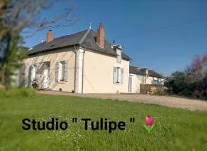 studio ''tulipe'' dans le Berry - Reuilly