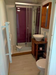 studio tulipe dans le Berry