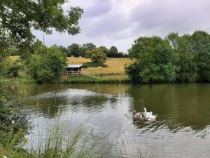 Lodges Ecolodge Terre et Eau : photos des chambres