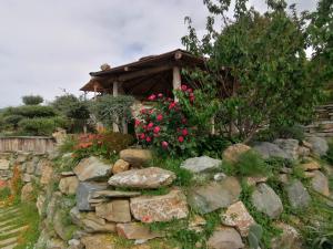 Maisons de vacances Maison de charme avec piscine et jacuzzi : photos des chambres