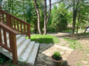 Ház a Pilisben - mókus család a kertben