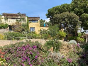 Appartements Superbe T2 avec tres grande terrasse vue sur mer : photos des chambres