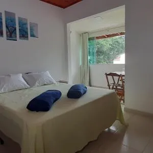 Greenhouse - 卡西米鲁-迪阿布雷乌