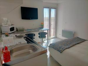 studio tulipe dans le Berry