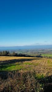 Appartements Sur les hauteurs de Locronan : photos des chambres