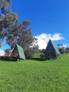 Animals Glamping - La Aurora